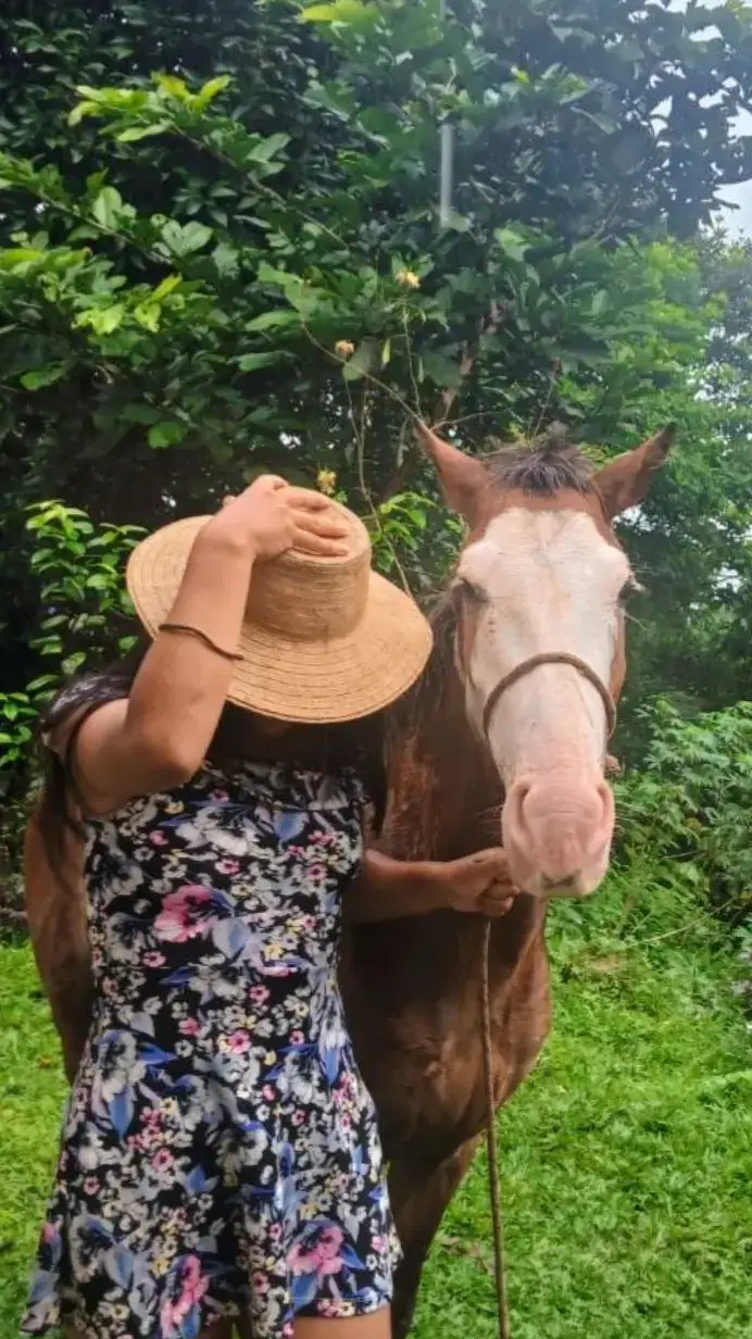 #cocle #tipiqueros #panama #campo #caballos #paz 