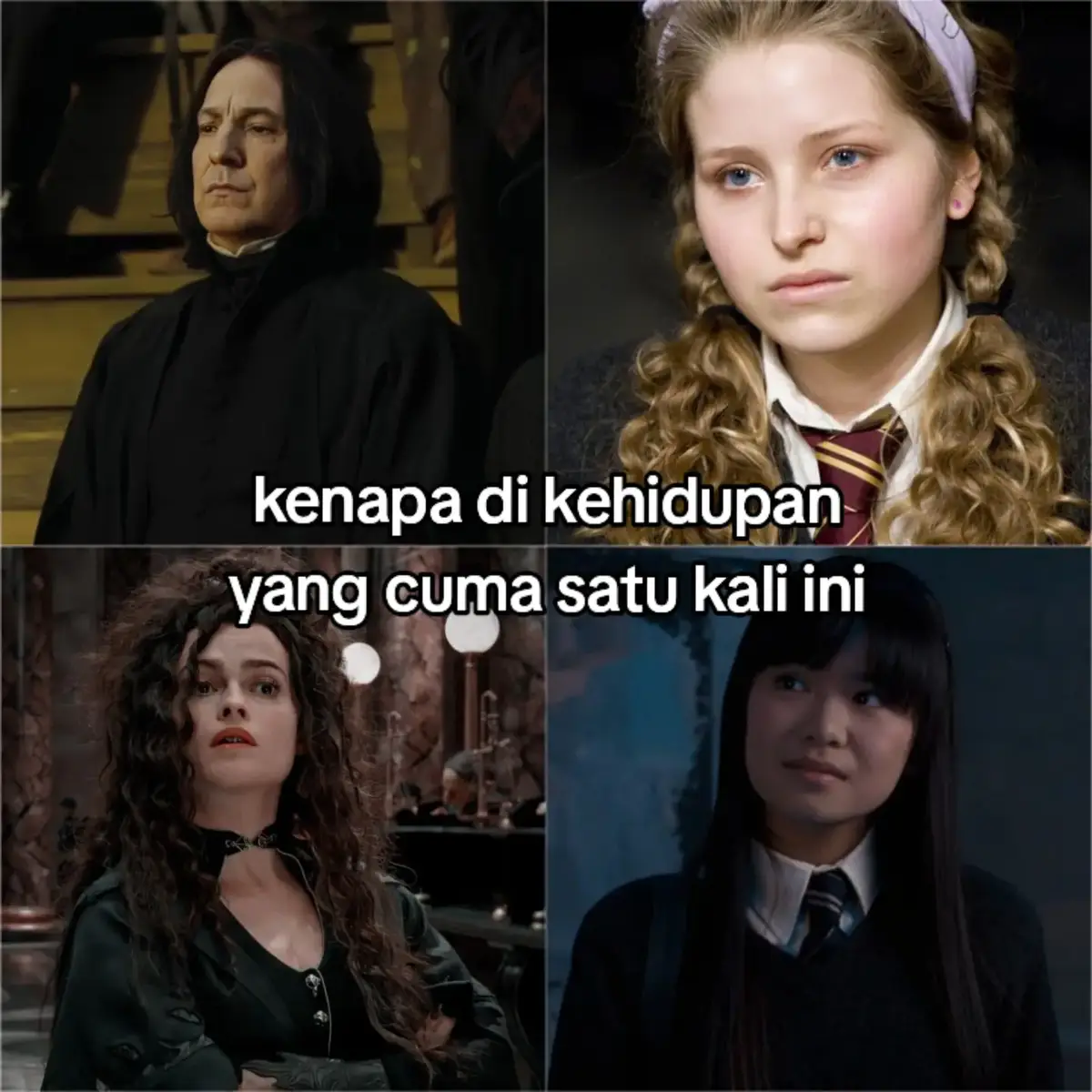 #harrypotter #harrypottertiktok #severussnape #lilyevans #lavenderbrown #bellatrixlestrange #tomriddle #chocang #cedricdiggory #fyp #fypシ #foryou #foryoupage 