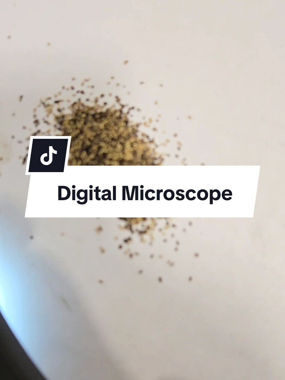 Macro Digital Microscope Fixed Focus portable Handheld Magnifying Glass, 2.0 inch Color Screen, 200w Pixel, 500x Magnification, Built-in 8LEDS, Rechargeable Battery #magnifyingglass #microscope #tooladvisor #tiktokshopblackfriday #tiktokshopcybermonday #tiktokshopholidayhaul #toptiernovember @YPCSURUO  microscope for kids microscope videos microscope on booger microscope bacteria microscope vision microscope food magnifying glass with light magnifying glass magnifying glass for kids magnifying glass prank magnifying glass sun magnifying glass for coins magnesium glass