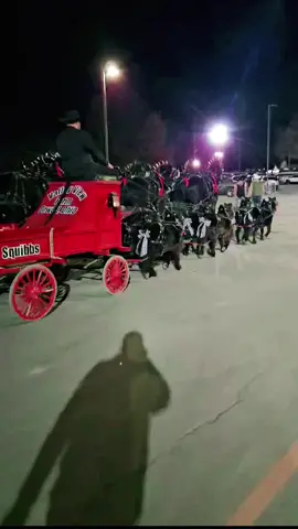 🎵🎶 Together, we RISE! Unleash the power!🎵🎶 Not something you see everyday, a six-horse hitch of Percherons and minis together❤️🖤 Really proud of all the horses at @Equine Affaire!  #Love #equine #drafthorses #horses #equestrian #performing #loveofthehorse #bigandlittle #whisperypinespercherons 