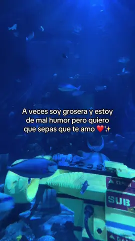 ❤️💖💖✨ #fyp #amor #fypシ 