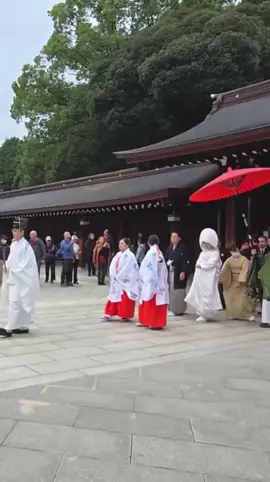 Traditional Japanese Wedding at Meiji Jingu Shinto Shrine in Tokyo Japan 東京・明治神宮での結婚式 | #yoshimyan on #Twitch