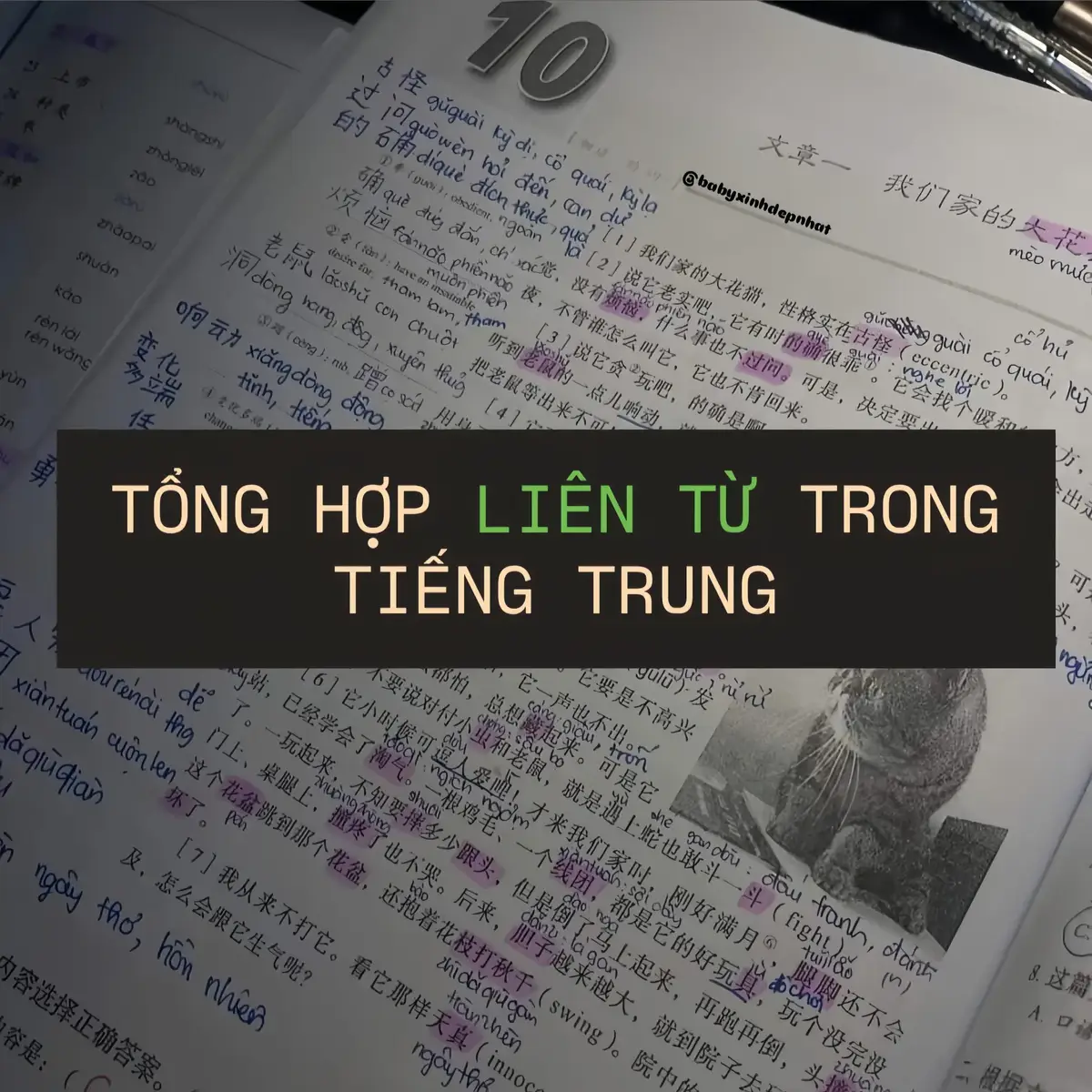 Liên từ trong tiếng Trung là 连词 /Liáncí/ dùng để nối các từ, các câu, đoạn văn lại với nhau nhằm tạo sự liên kết và giúp diễn đạt hay hơn.  #tiengtrung #xuhuongtiktok #foryoupage 