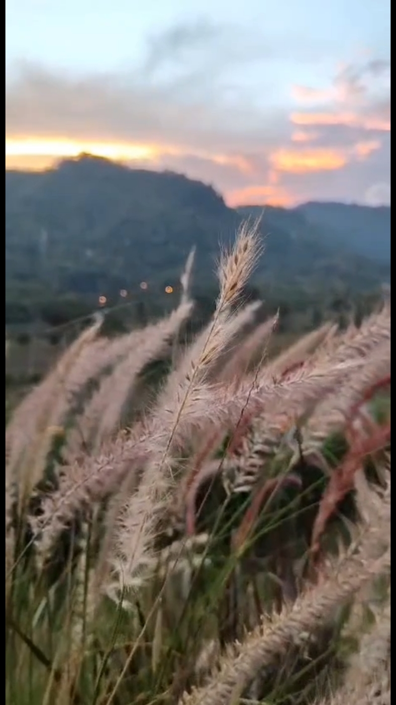 Salam sehat sobat pecinta  lagu kenangan semua 🌷🌷🌷😊😊🥰