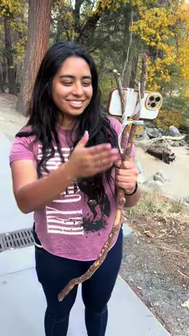 best tripod ever 🤳🏽🏞️ #5minutecrafttripod #funny #nature #yosemite #homemadetripod 