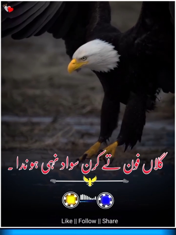 #tiktokteamunfreezmyacount😥🙏 #tiktokteamviralmyvideo #viewsproblem #foryoupagе #foucs #viralvideo #trending @zaigham_sahi @🇹🇷Hamad🇵🇰 @گوندل ٹھٹی نور آلہ🔥🦅 @Qalab Abbas @پنجابی شاعر مبین چک 29 آلا 🦅 @🦅 ملک  احسن 🦁 