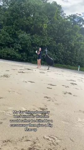 @taylah this is still the funniest video i have. #fyp #australia #cassowary #bigmac