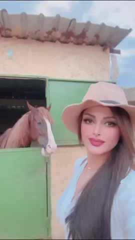 #frypgシ #اكسبلورexplore #foryoupageofficiall #ترند #خيال#🐎 #صباح_الخير 
