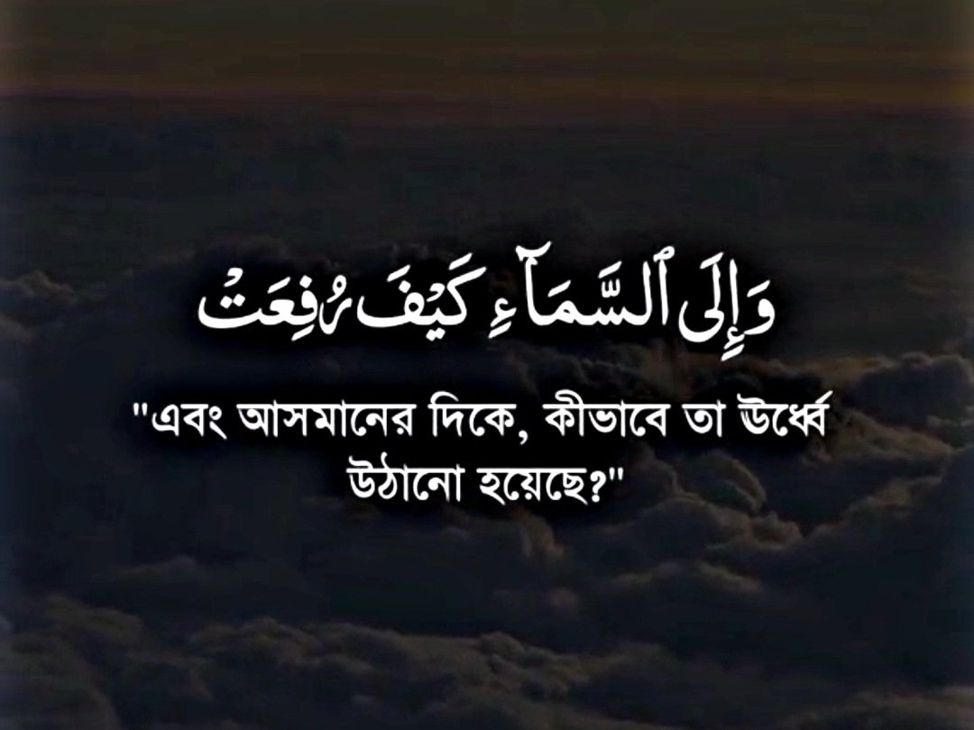 #কুরআন_তেলাওয়াত #ভালো_লাগলে_সবাই_লাইক_কমেন্ট_শিয়ার_ #foryou #fypシ #tiktok #PepsiKickOffShow #foryoupageofficially #trending #حلاوة_اللقاء #viral