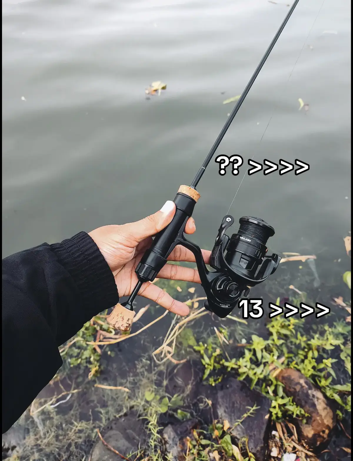 #fypシ゚ #mancing #iroly #daiwa #joranpancing #fishing #fishinglife 