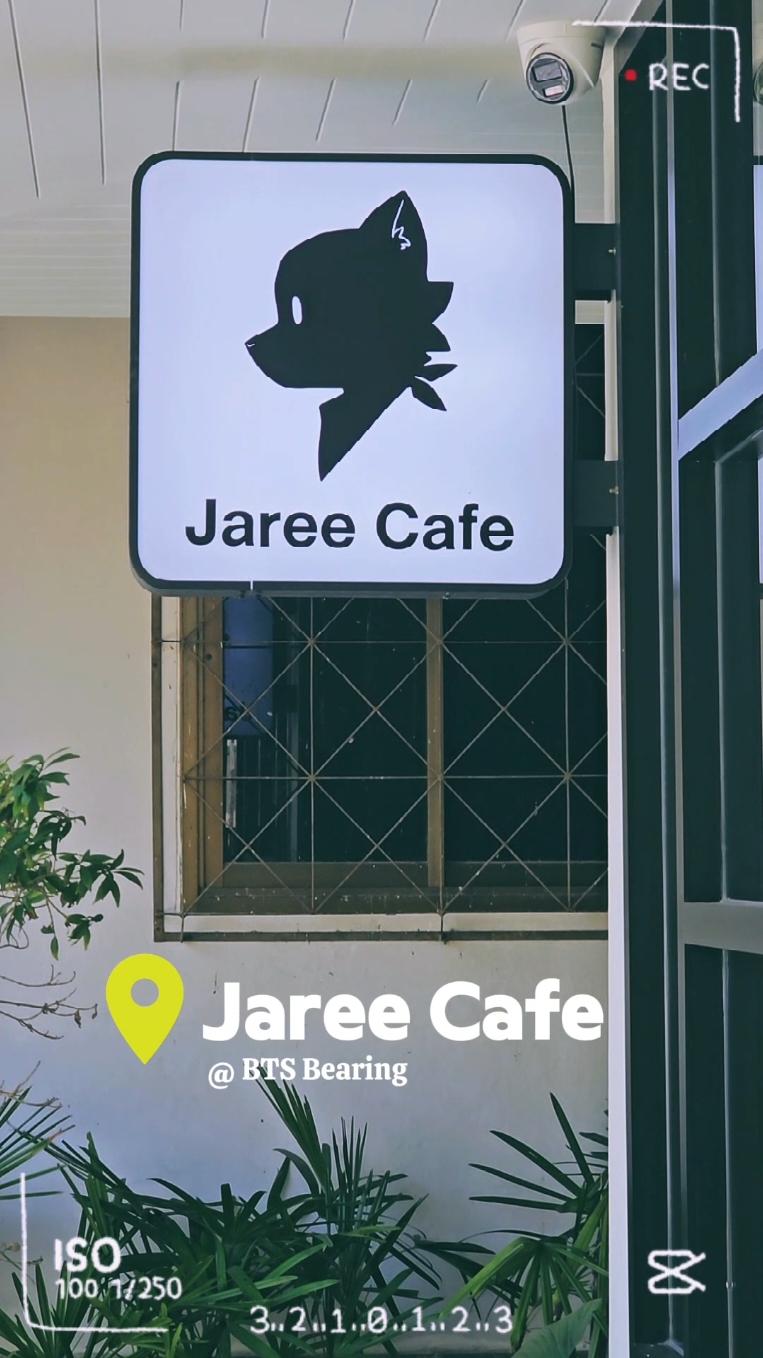 Jaree Cafe คาเฟ่บรรยากาศดี มีมุมสวยๆให้ถ่ายรูปเยอะมาก อาหารและกาแฟอร่อย โดยเฉพาะไก่คาราเกะ จานนี้ต้องสั่งเลยฮะ  ร้านอยู่ซอยลาซาล7 ใกล้ BTS แบริ่ง ร้านเปิดทุกวัน 10.00-20.00น. ยกเว้นวันพฤหัส #jareecafe #tiktokพาเที่ยว #tiktokพากิน #fursuiter #เฟอร์สูท #furrythailand #fursuitthailand #svat_neel  📷: @marklthebacky @ktbxthank 