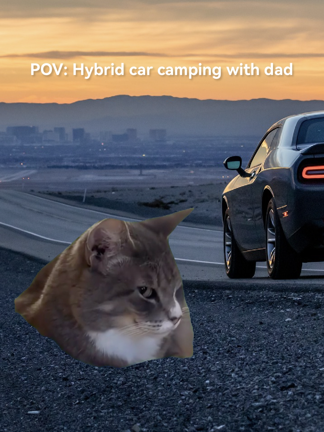 Dad's pre-camping anxiety about hybrid EVs? Watch it disappear with CATL Freevoy power. 😌 #Camping #CATLFreevoy #EVLife #catmeme #dogmeme #fyp