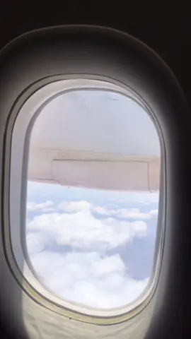 En résumé ce que l’on voit dans un avion MD Airlines à destination de Morondava #travel #madagascar 