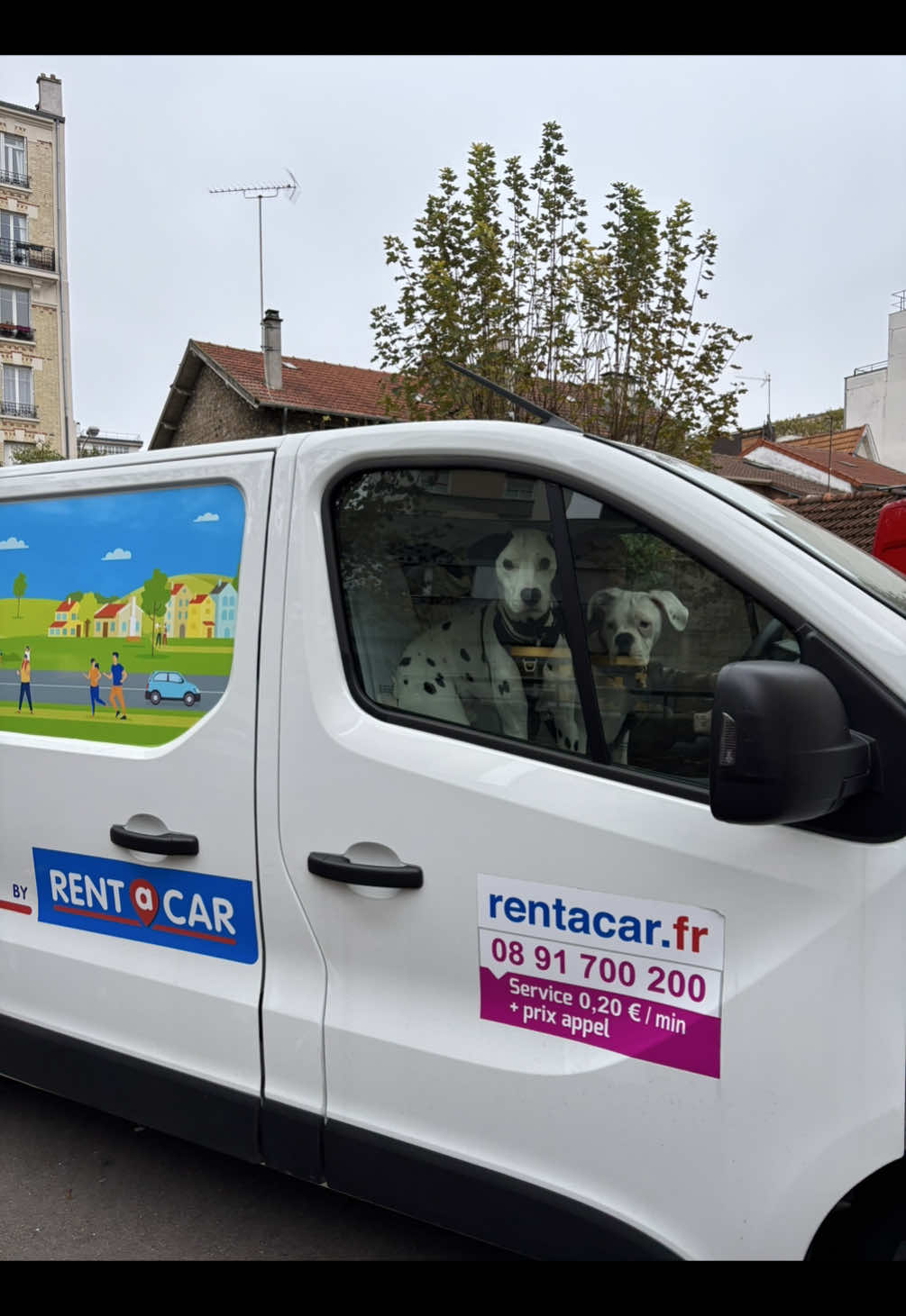 Pov : tu changes totalement de vie parce que Paris t’as tué #demenagement #chiens 