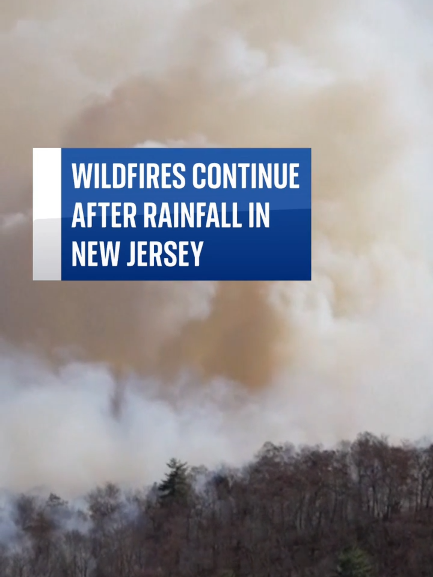 #NewJersey wildfires have continued to burn despite overnight rainfall. #SkyNews #US #wildfires