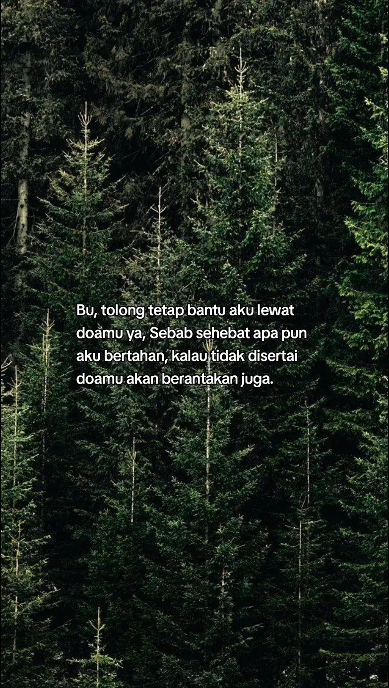 #fyp #fypシ゚ 