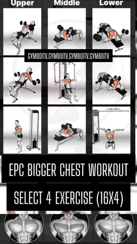 EPIC CHEST IN 30DAYS? - WE GOT YOU🫵🫵 SELECT 4 EXERCISES (16X4) LEARN TO TRAIN YOURSELF  COMPLETELY #highlightseveryone #gymboitv #gymtips  #reelschallenge #foryoupageシ #foryouシ #foryourpage #tips #motivation #gym #gymmotivation #Fitness #fitnessmotivation #workout #workoutmotivation #tiktokviral #tiktok #2024viralvideo #2025goals #bestworkoutever #workoutideas #workoutinspiration #fitnesstips #foryoupageシforyou #fypviralシ #fypシ゚viralシfypシ゚viralシalシ #fypシ゚viralシfypシ゚ #fypシ゚viralシ2024fyp #fypシ゚ #fypシviralシ2024  #chestworkout 