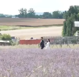 Who misses baek hyunwoo and hong haein?🥹 and this lavender field was very iconic 🍀 if you know, you know👀😅♥️#SooWonies #KimJiWon #KimSooHyun #SooWon #queenoftears #lavenderfields #baekhongcouple #couple #kdrama 