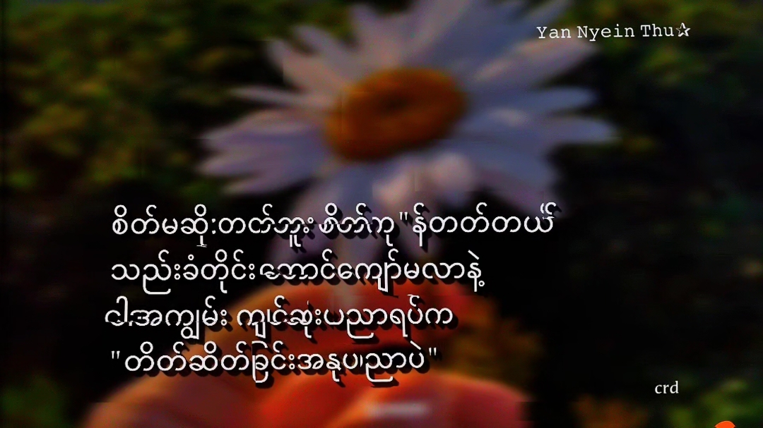 . #feel  #feeling #foryoupage #fyp #စာတို #