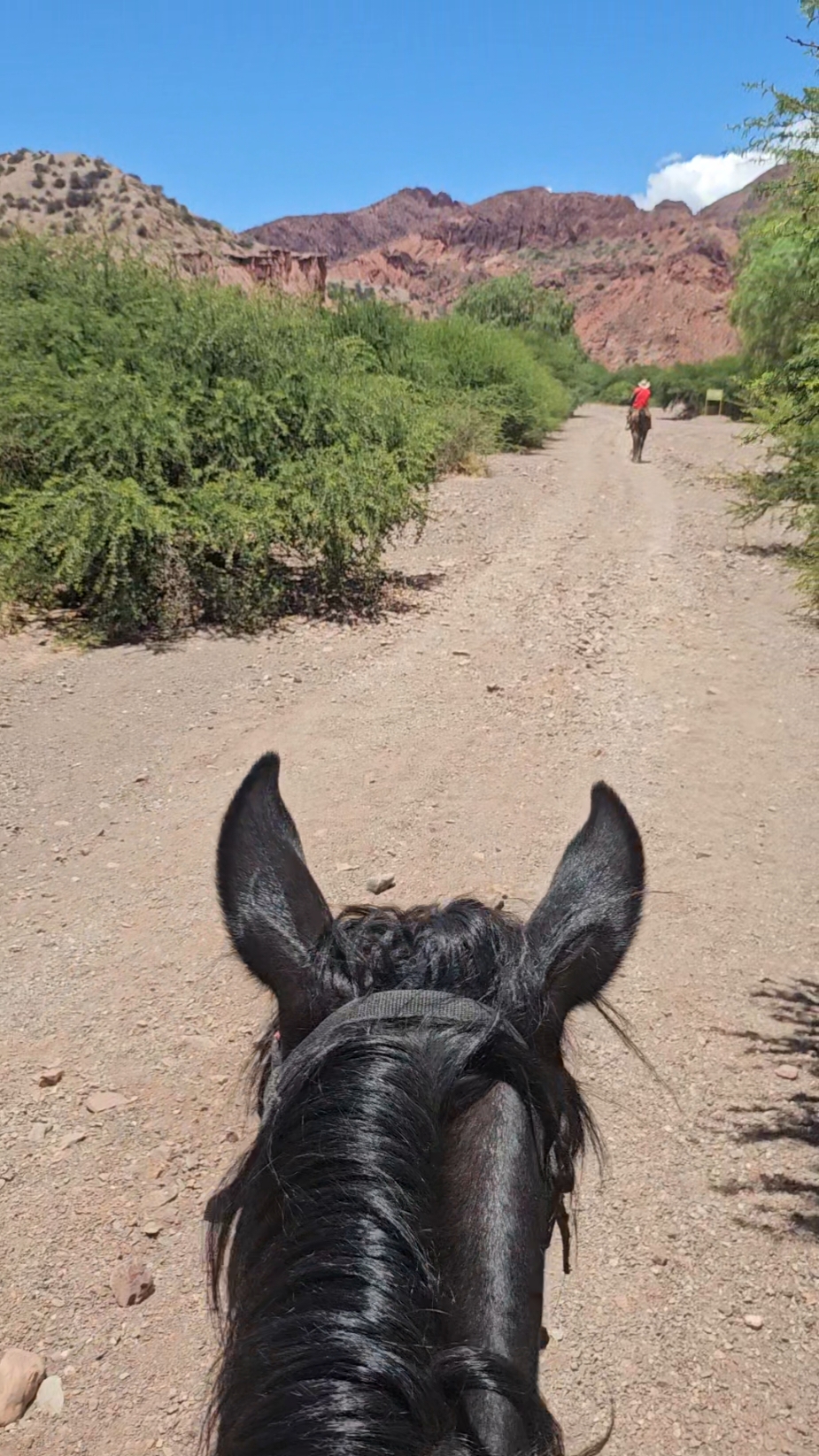 Vamos a Visitar todos los Pueblitos Magicos de Bolivia 🤍📍 #tupiza #turismo #bolivia🇧🇴tiktok #caballos #pueblosmagicos #aventuras #paisajes #tupiza💙❤