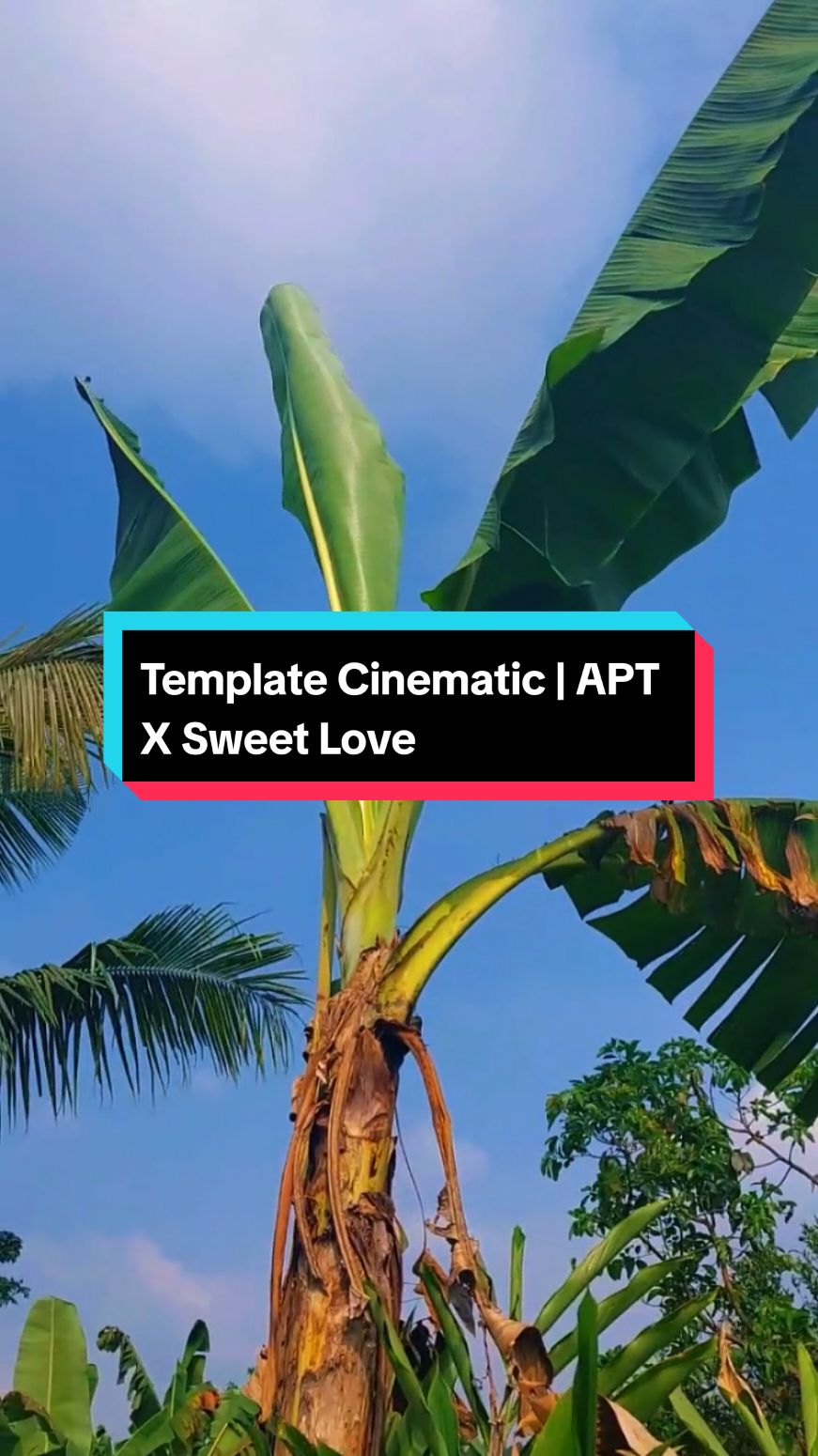 #CapCut | apateu apateu aha aha 🤪🥵 #templatecapcut #cinematic #sinematikaesthetic #djaptxsweetlove #fyp 