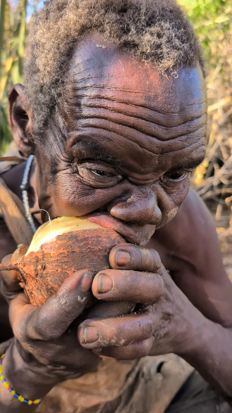 It's unbelievable ‼️😲😋 See How these Old man without teeth eating a Roots 😲😅#africastories #USA #UK #hadzabetribe #tiktokindia 