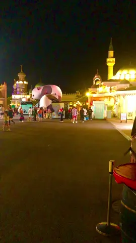 #everland🇰🇷 