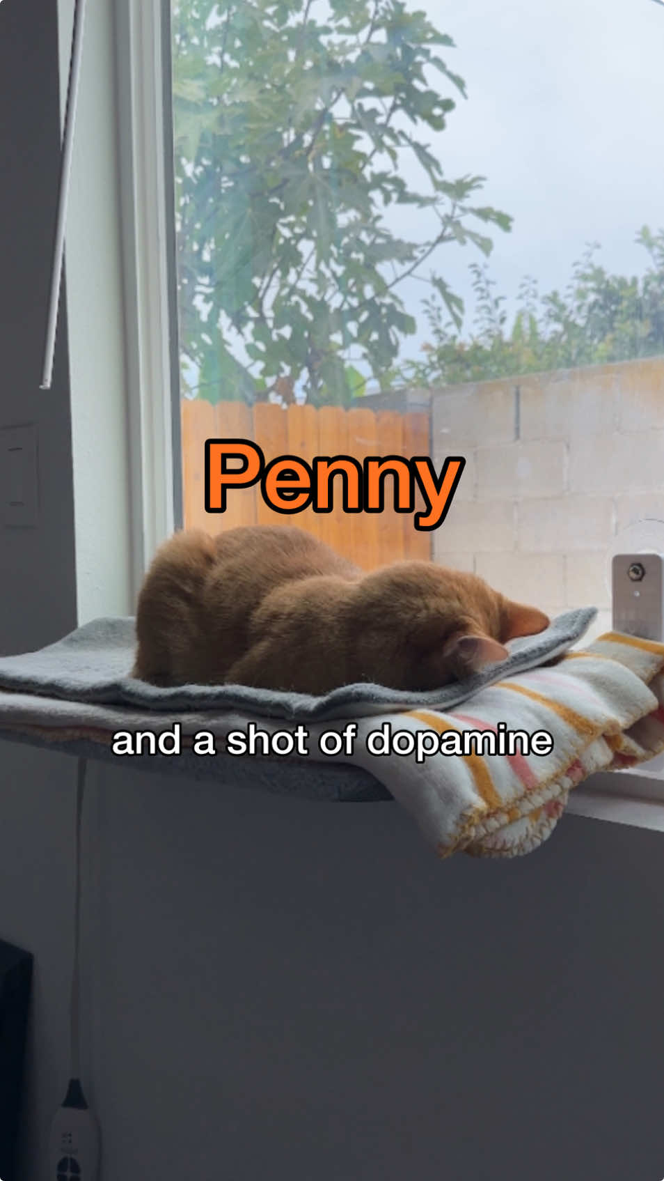 a “penny sleeping facedown” video was long overdue