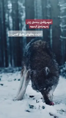 مەگەر وانیە خاڵۆ...؟ #foryou #Love #fypシ゚ #explore #وتە 