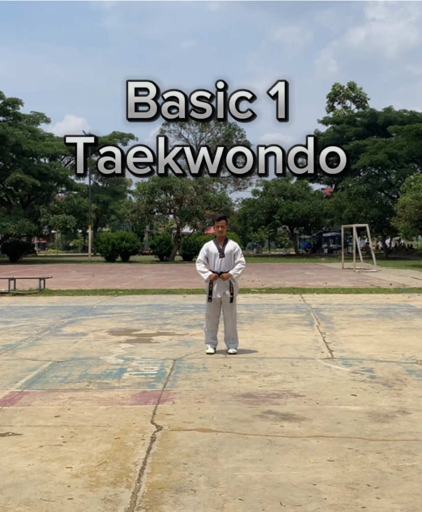 ✨Basic 1 Taekwondo #fyp #fypシ #taekwondo #tutorial #taekwondofighter 