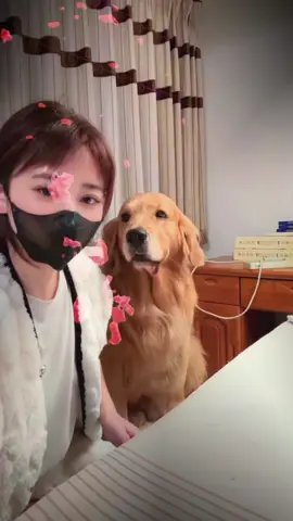 Les pensées du chien sont écrites sur son visage#dancerlife #petlovers #viral_video #cutedancer 