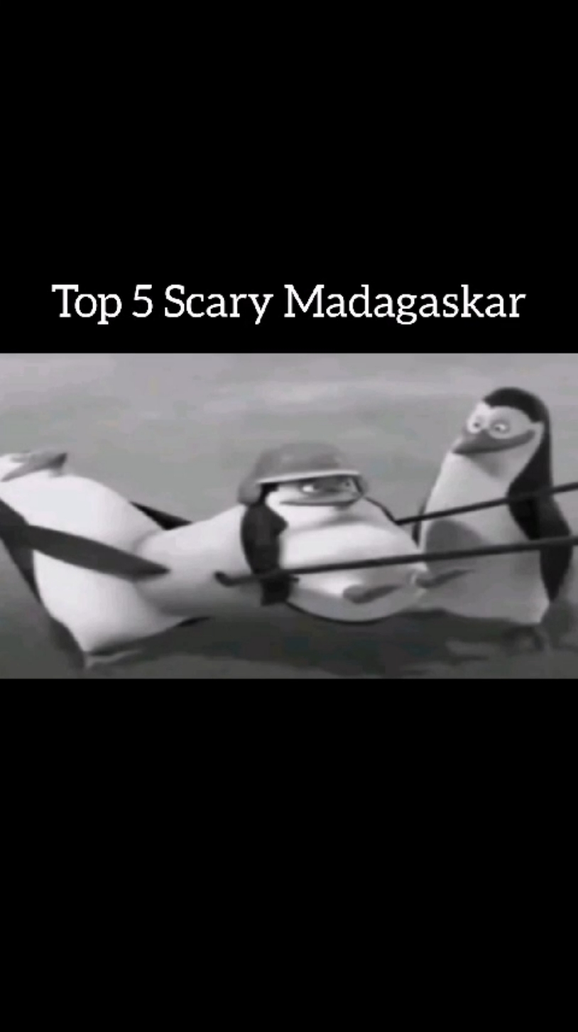 Top 5 Scary Madagascar #meme #top5  #foryoupageofficiall #goofyahh #funnyanimals #madagascarmeme 