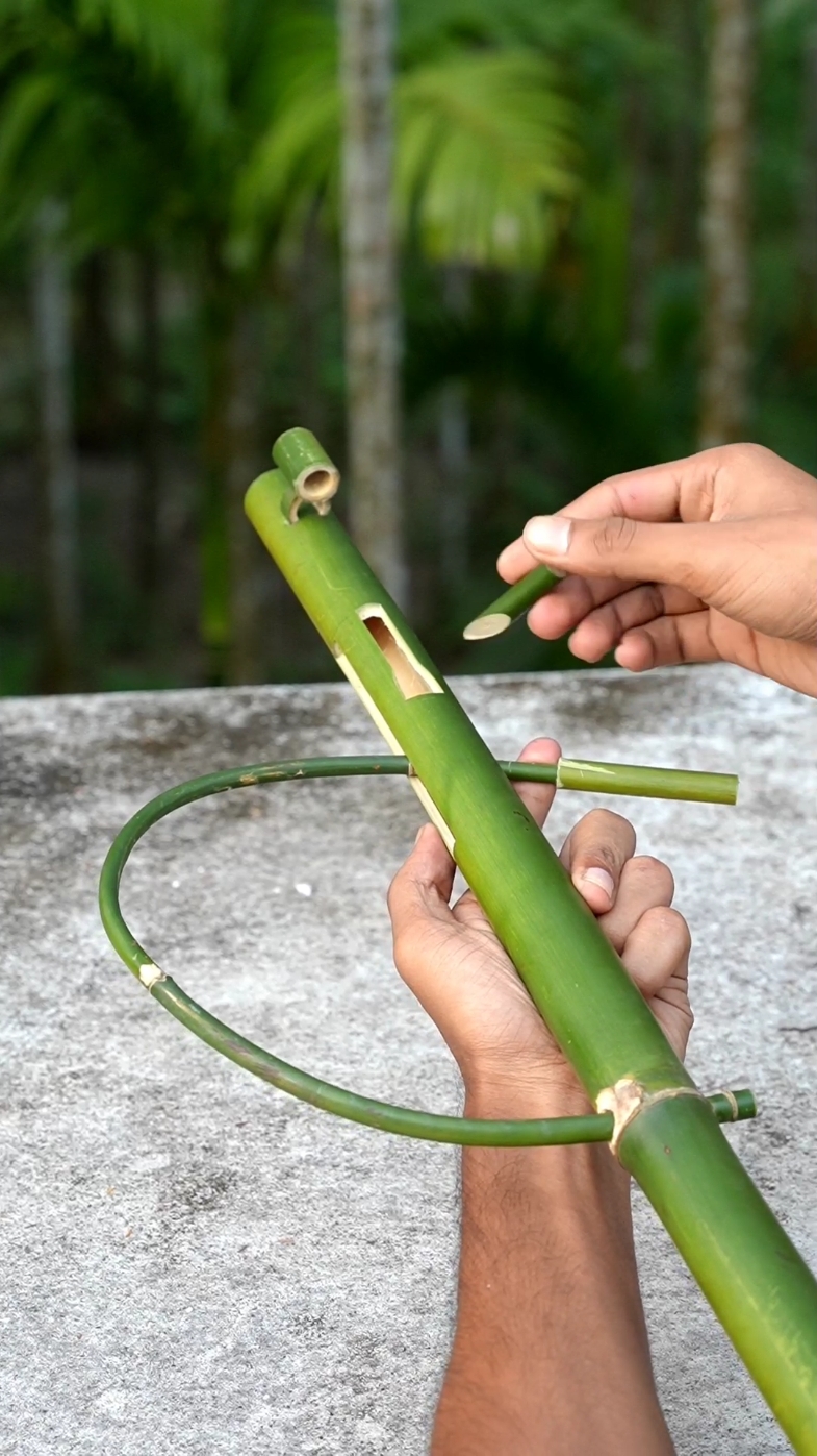 Bamboo Slingshots: A Classic Toy with a Modern Twist #creation #slingshorts #omg #DIY #Toys #diyprojects 