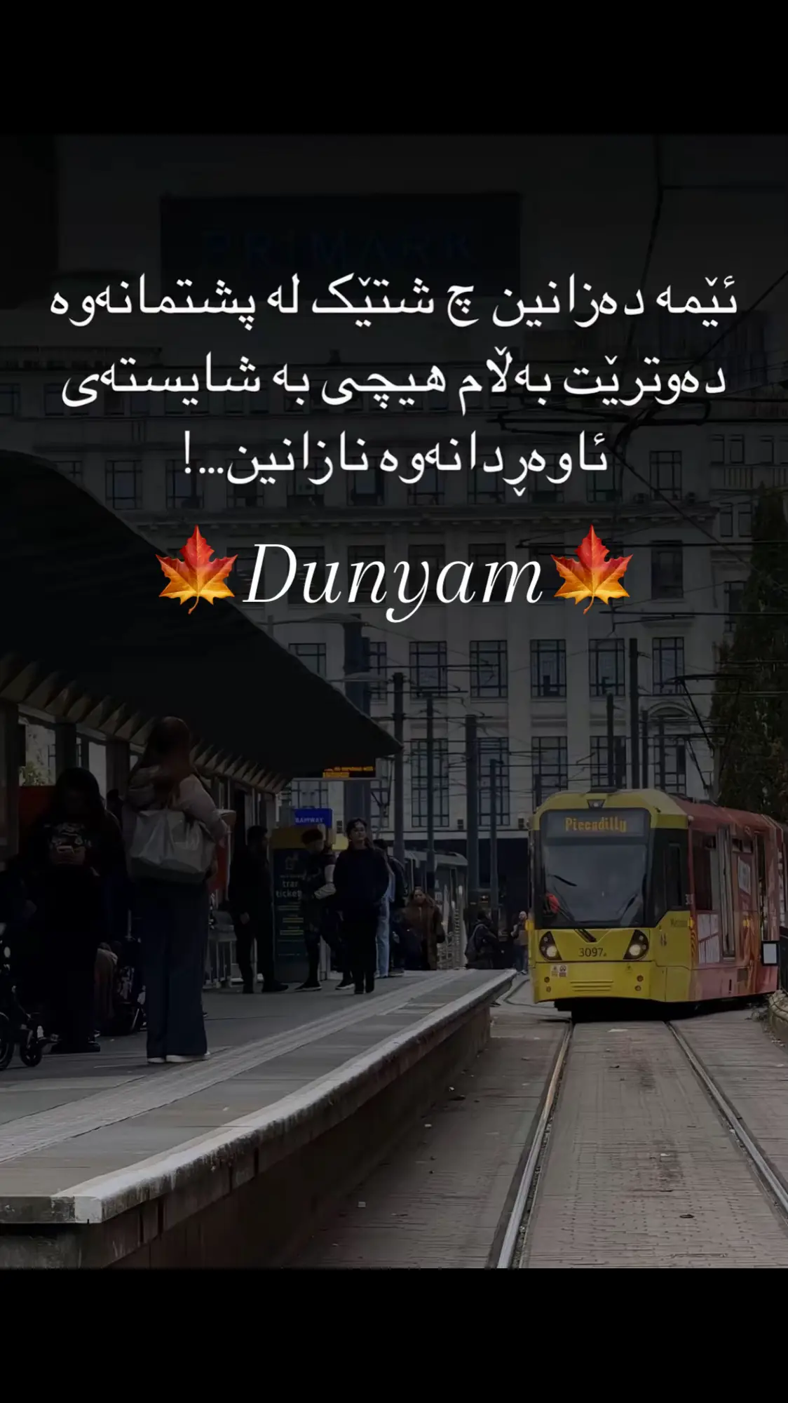 #🇩🇪🇩🇪🇩🇪 #dunyam #capcutvelocity ##tiktokindia  #f 