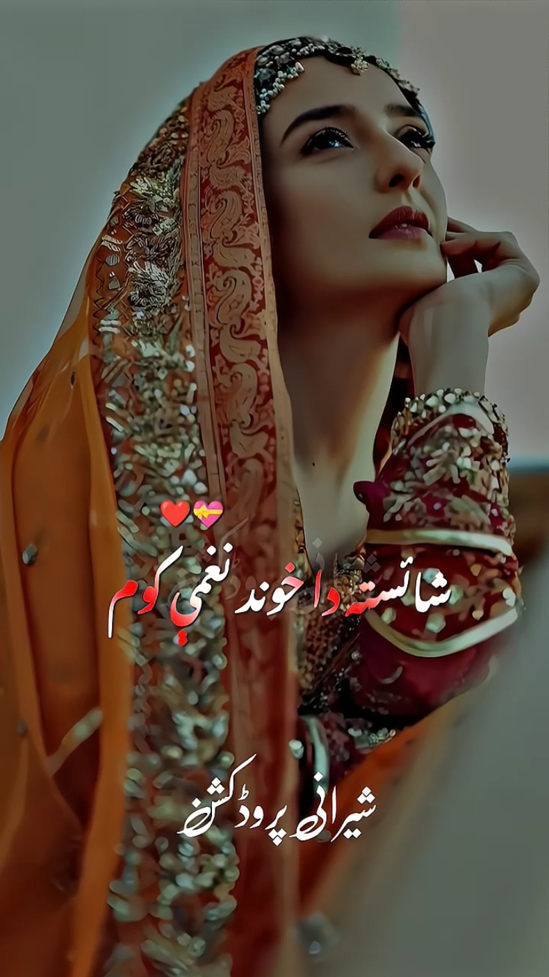 #donotunderreviewmyvideos #viral #foryou #sheraniprouction #pashtosong #shahfarooq 