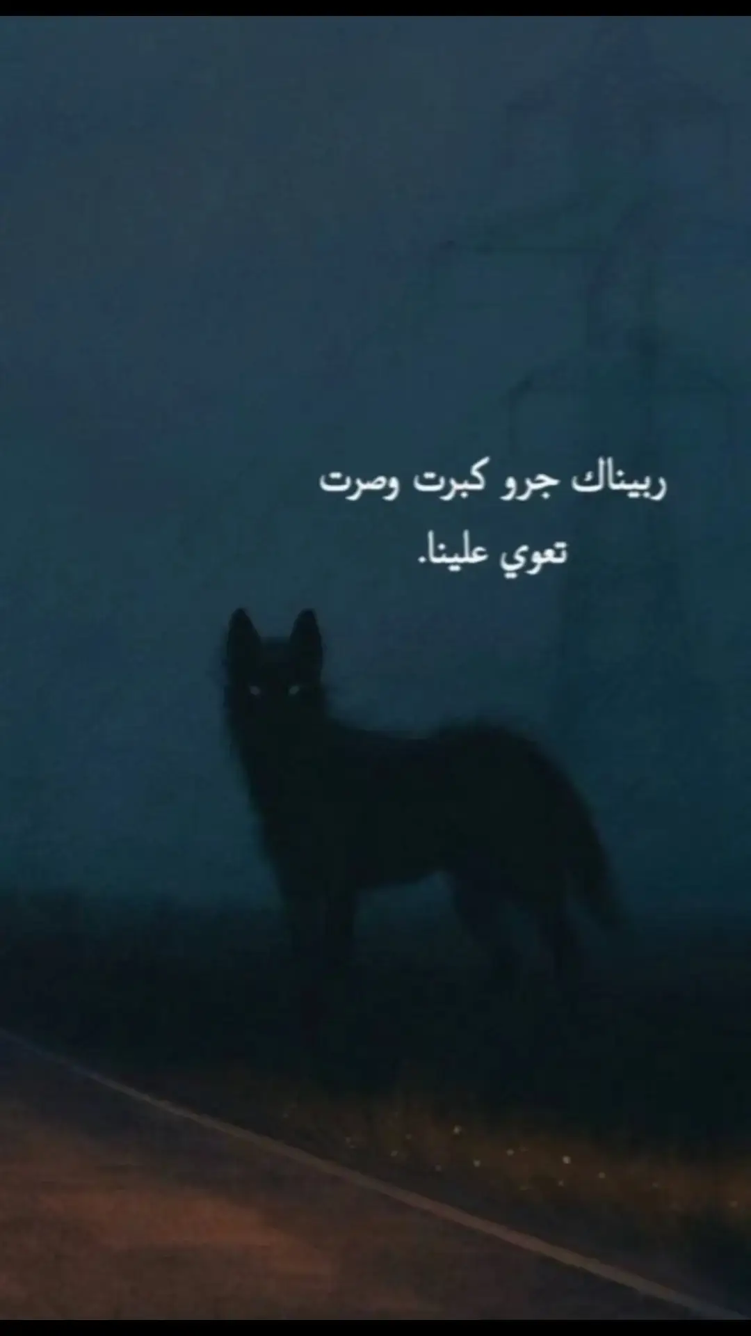 #وصرت تعوي علينا . #سماعنه979ولنا_في_قمة_المجد_رايات  #جميع_الدول_العربيه  #🥀🖤 