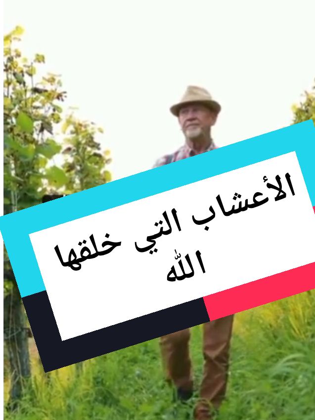 الأعشاب# و #النباتات التي خلقها #الله هي #العلاج #دكتورسيبي 