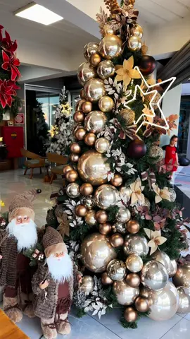Essa árvore de Natal está um verdadeiro espetáculo! Combinamos bolas douradas, flores, galhos e uma estrela iluminada para criar uma decoração cheia de charme e sofisticação. E o melhor: nossas peças de Natal estão com parcelamento especial em até 10x sem juros! Venha conferir e traga essa magia para a sua casa! ✨🎄 • 📍Rua Professora Neuza Rocha, 350, Central Parque, Contagem, MG • 🕒 seg a sex de 09 as 19hrs | sáb de 09 as 15hrs • • • #natal2024 #decoracaonatalina #arvoredenatal #natalemfamilia #inspiracaonatal #decoracaodeinteriores #dicasdenatal #comprasnatalinas #festasnatalinas #nataldeluxo #decoracaodefesta #nataldourado #mesaapostanatal #natalemcasa #tendenciasnatal #natalpersonalizado #casawendel #florarte #natal 