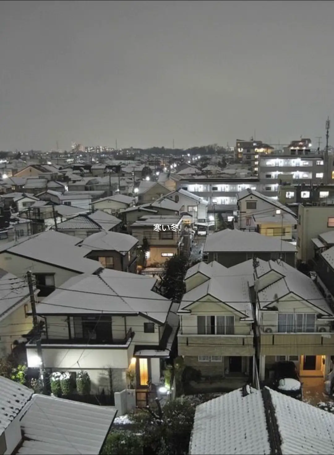 winter in japan #goviral #foryou #winterinjapan #japan #explore 