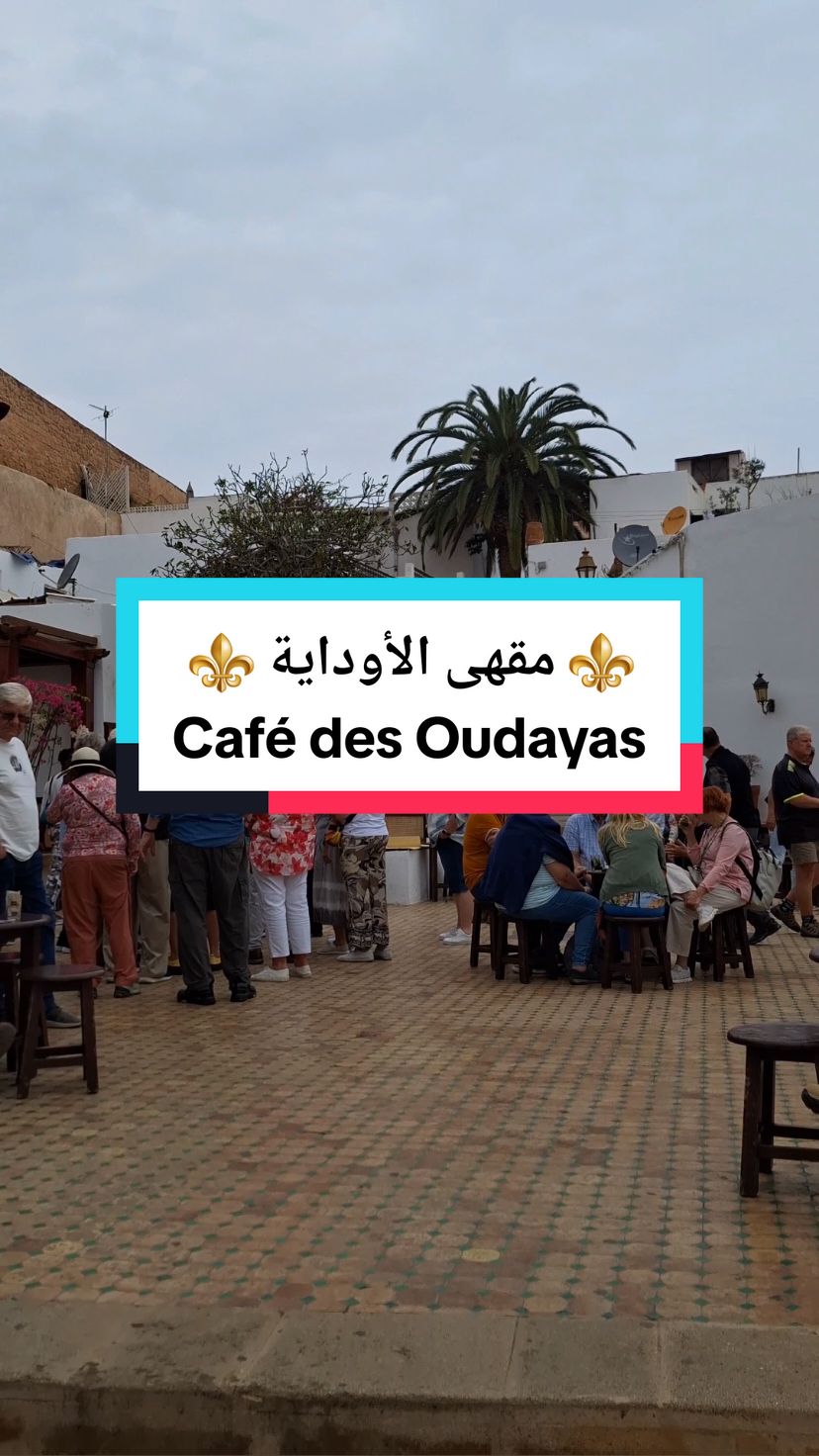 #creatorsearchinsights مقهى الأوداية بالرباط 🇲🇦📍  Le Café des Oudayas, un joyau de Rabat  Situé au cœur de la Kasbah des Oudayas à Rabat, le Café est bien plus qu'un simple lieu où l'on déguste du thé à la menthe et des pâtisseries marocaines. C'est un véritable voyage dans le temps et une immersion dans la culture marocaine. Depuis sa terrasse, les visiteurs peuvent admirer une vue imprenable sur le fleuve Bouregreg et l'océan Atlantique, ce qui en fait un cadre exceptionnel et apaisant.  Ce café, perché sur les remparts de la kasbah historique, séduit par son architecture traditionnelle et son ambiance authentique. On s’y sent transporté dans une autre époque, entouré de murs blancs et bleus, de mosaïques et de petites ruelles pittoresques qui mènent à ce havre de paix. Les touristes comme les locaux y viennent pour profiter d’un moment de détente dans un cadre typiquement marocain.  Le café se distingue par son thé à la menthe, servi dans de petites théières en métal, accompagné de pâtisseries et d'autres et d'autres douceurs locales. Les saveurs exquises et l'accueil chaleureux font de cet endroit un passage incontournable pour ceux qui souhaitent découvrir la gastronomie marocaine dans un cadre authentique.  Ce lieu attire aussi les passionnés d’histoire et de culture, car la Kasbah des Oudayas elle-même est classée au patrimoine mondial de l’UNESCO. En visitant le Café Maure, les visiteurs peuvent se plonger dans l’histoire fascinante de Rabat et des Oudayas, tout en appréciant l’hospitalité marocaine.  En somme, le Café des Oudayas est une escale parfaite pour les voyageurs en quête d’authenticité, de calme et de belles découvertes. Si vous visitez Rabat, ne manquez pas de vous y arrêter pour savourer un thé en contemplant l’horizon : une expérience inoubliable qui restera gravée dans votre mémoire. #oudayas #rabat #maroc #الرباط #المغرب 