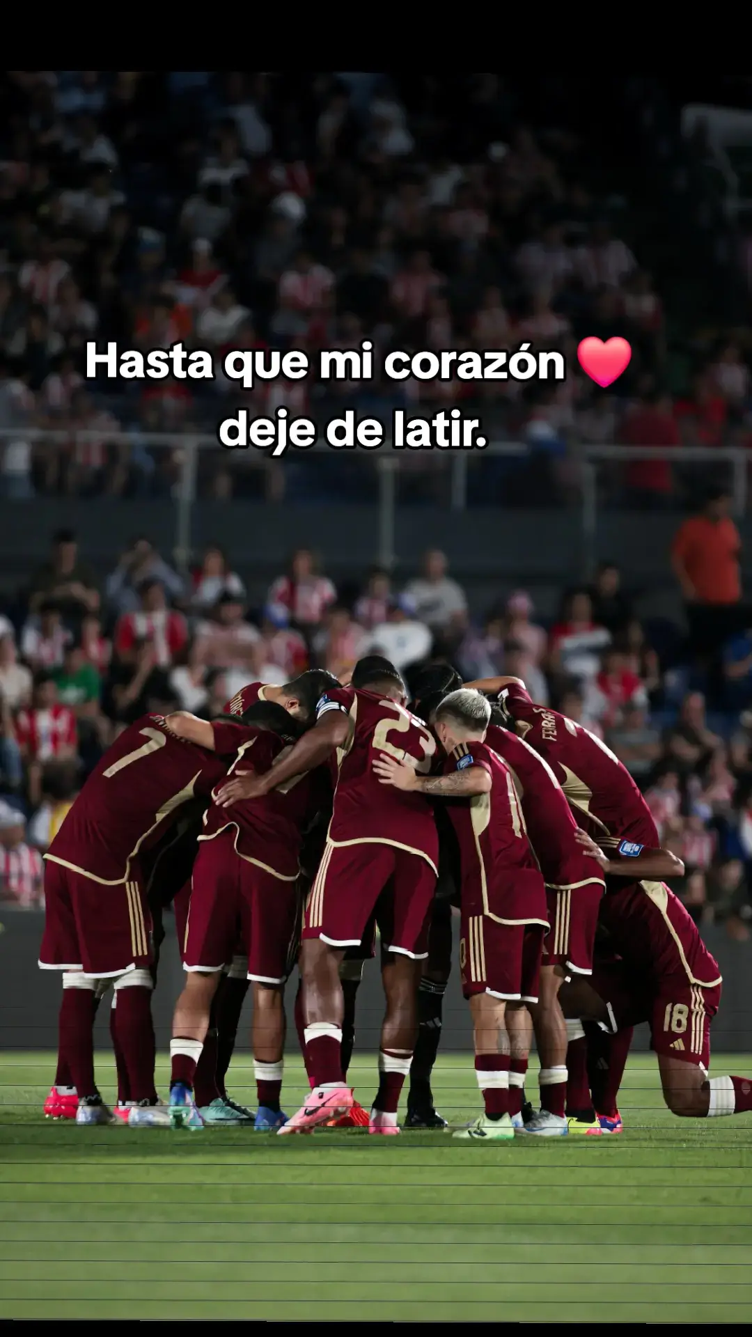 #lavinotinto #venezuela #fvf #futbol #conmebol 