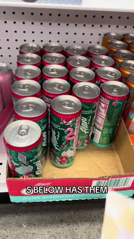 I found them😭 #alaninu #alaninutrition #christmas #5below 
