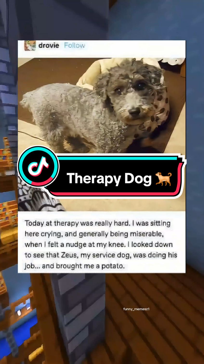 Funny Posts: Therapy Dog 🐕 Watch until the end  #funny #post #meme #memes #funnymoments #laugh #viral #tiktok #tumblr #fyp #therapydog #dog #dogsoftiktok #dogs #cute 