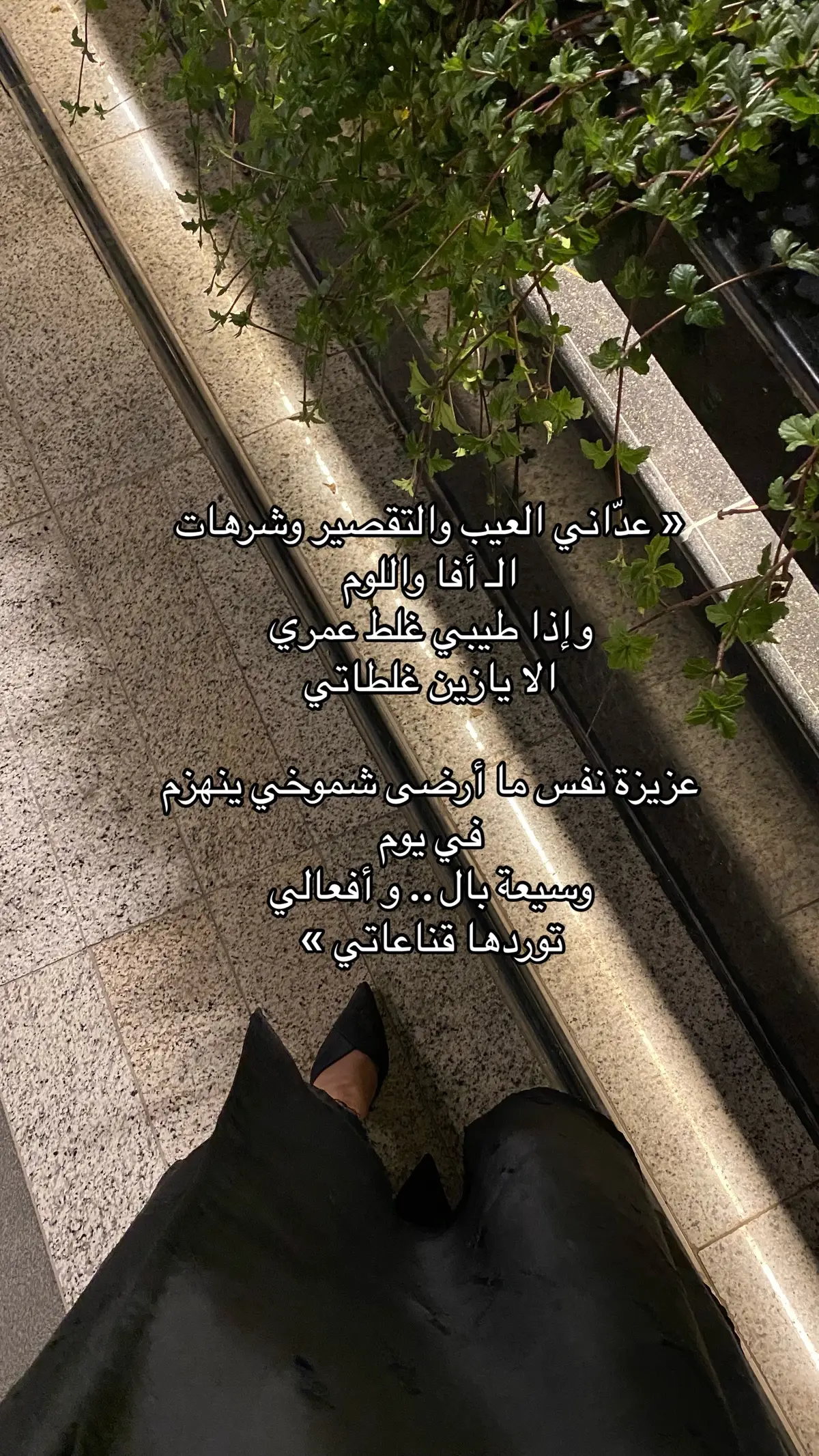 #قصيد #حب #شعر #شيلات #قصايد 