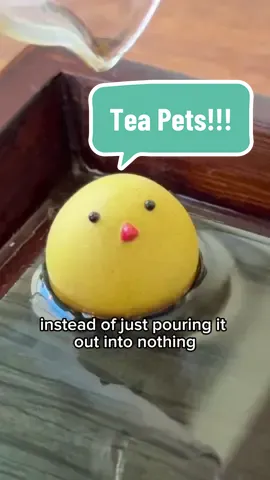Replying to @Wardy125 also you give them names 🎉 #tea #teapet #chinese #gongfutea #culture #jessesteahouse #animals #cute