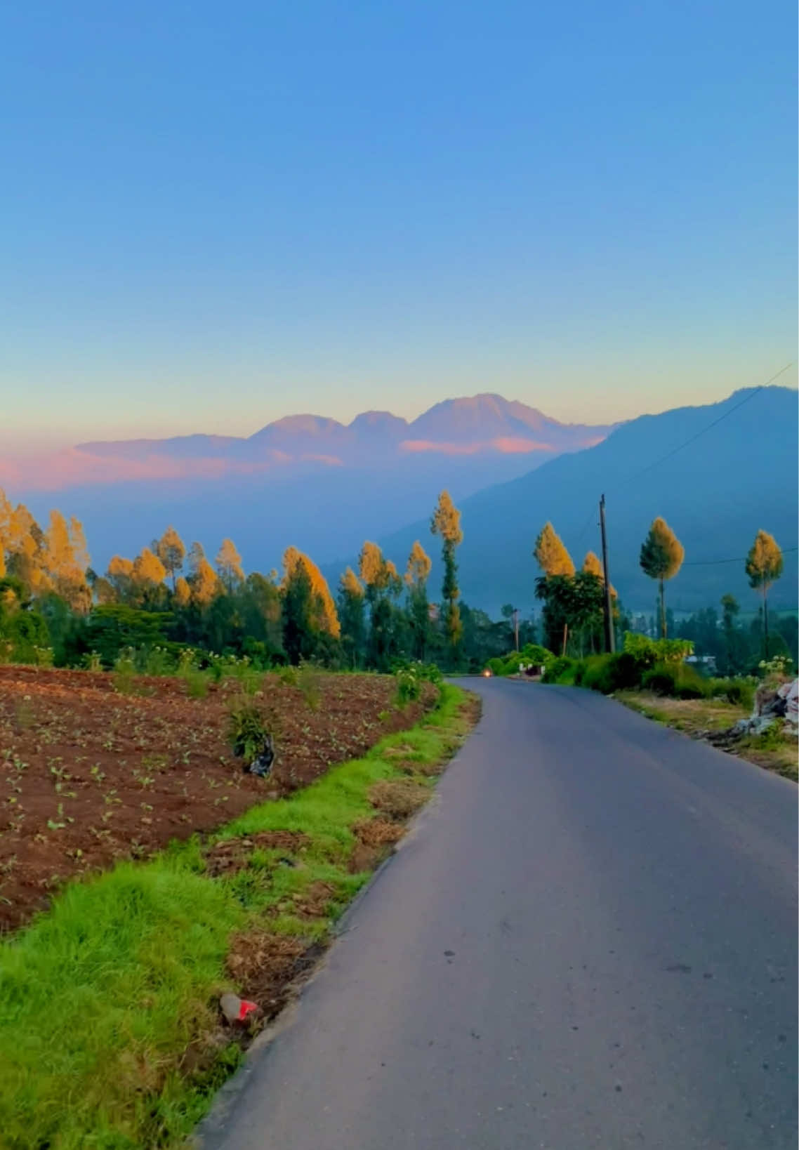 November morning #sunrise #sunset #videos #dieng #tambi #kebuntehtambi #sikatoktambi #morningvibes #alamindonesia #wonosobo 