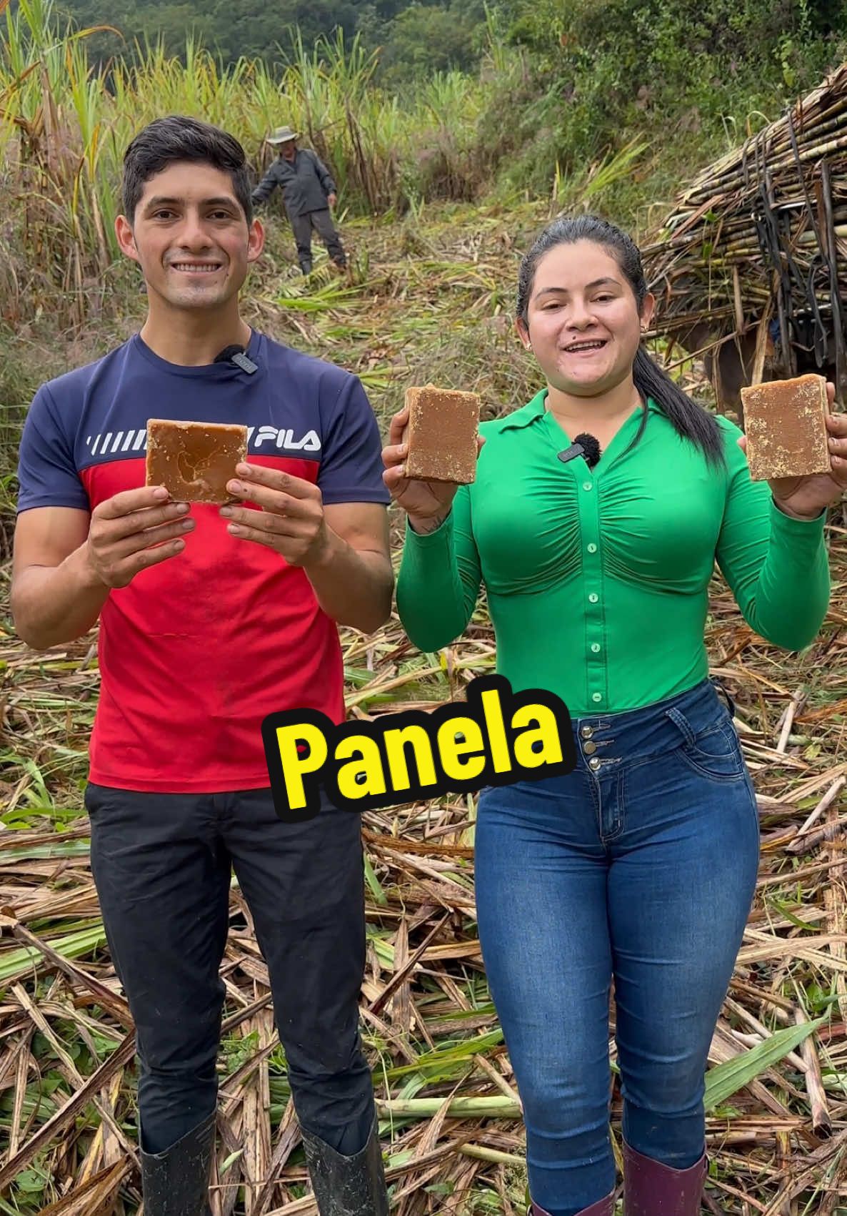 Así hacemos la Panela en el campo😱👌 