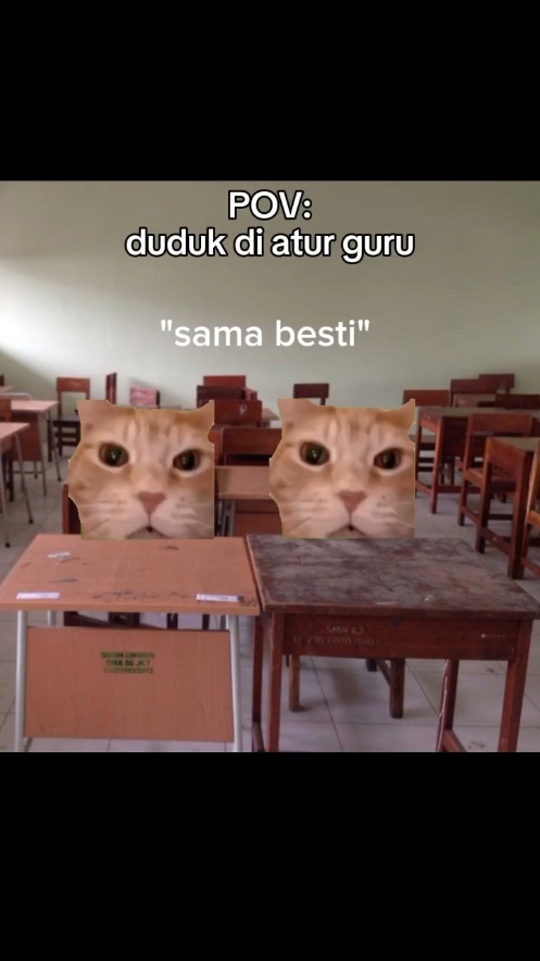 4/365 || ib: lewat fyp #memekucing #pov #fyp #foryoupagе 