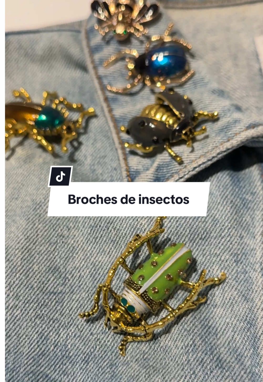 #broches #pins #insectos #bugs #fashiontiktok #fashiontrend #tendencia #moda #bugbrooch #brooch #customized #asmr #fyp 