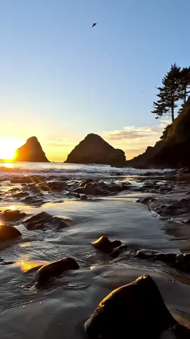 It's the sea that puts my mind at ease 🙌 #sea #ocean #waves #sunset #oregon #oregoncoast #explore #adventure #calm 
